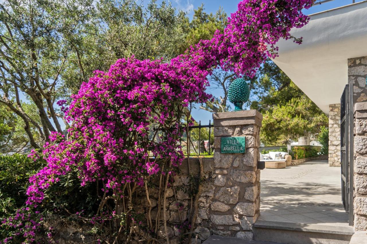 Villa Arabella Capri Zewnętrze zdjęcie